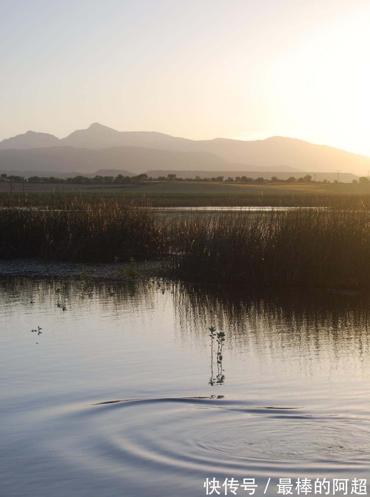 楚宫!李商隐凭吊屈原的一首诗,只短短4句,读来惆怅悲切,感慨万分