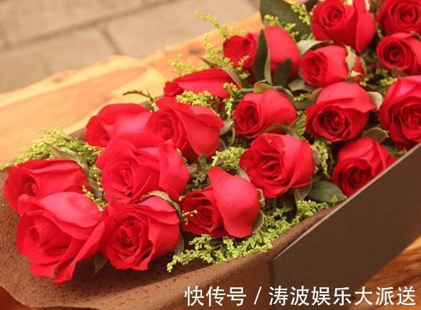 红艳|喜欢菊花,不如养盆“精品玫瑰”卡罗拉,红艳似火,美艳优雅