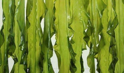 草酸|食用洋葱对身体最好,但与这些食物同吃危害最大,很多人还不知道