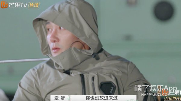 离婚|至于要把两人骂到退出节目吗?