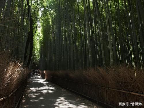 京都，带不走的记忆