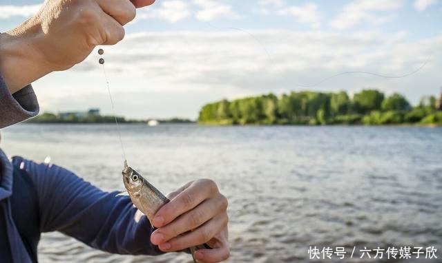 杂鱼|钓到小杂鱼是放生还是扔在岸上?其实都一样,道德绑架大可不必