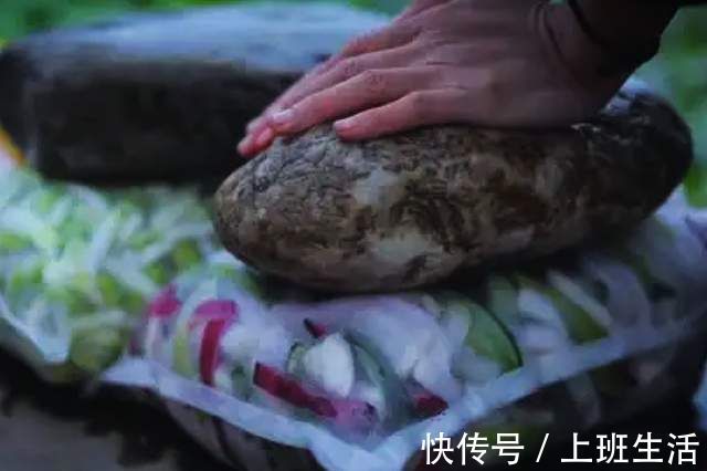 李子柒腌泡菜视频,被韩国网友围观,奇思妙想的脑回路