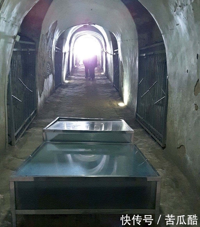 历史|考古专家打开此墓,墓中站着一具尸骨,重现一段血淋淋的历史!