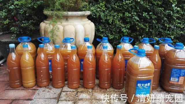 酵素|人民日报发声：这些食物被吹上天，实际没什么用，别再交智商税了