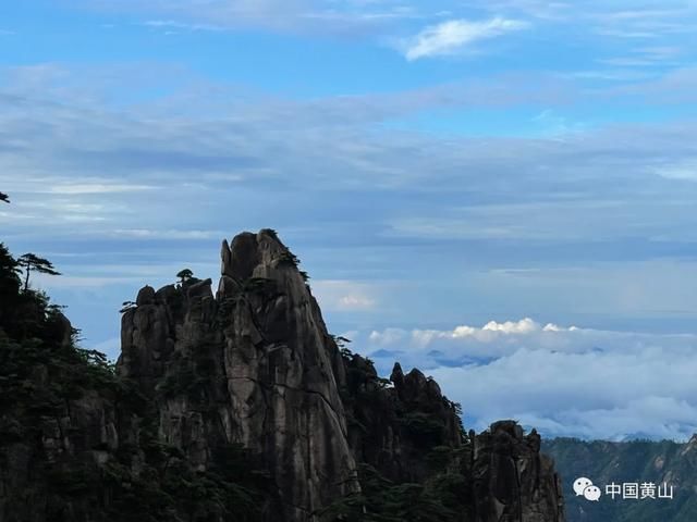 吴立新|云游雨后黄山 美景如画好似仙境