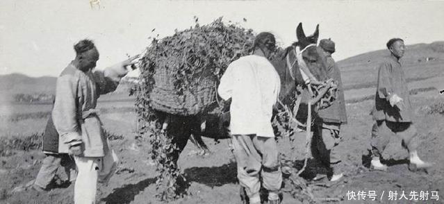 生活|晚清农民生活真实场景 不是家徒四壁!