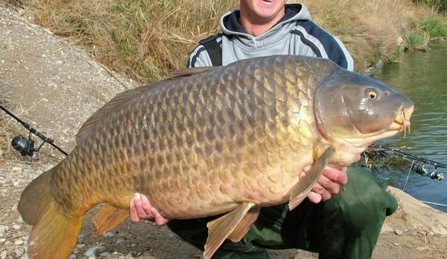 切线|20年经验之谈，钓大鱼这几点很关键，不要等到切线爆竿才后悔！