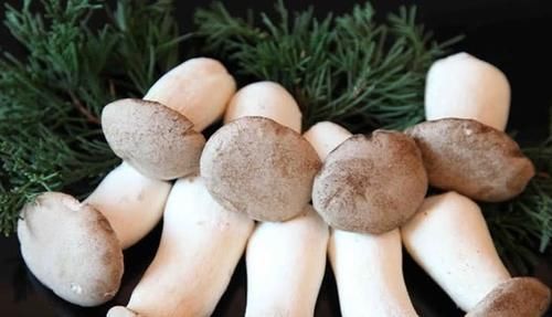 鸡蛋不用再搭西红柿，和它一起炒着吃，营养美味还能让你美丽动人