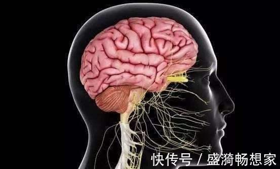 元宝枫|寿命长不靠多睡觉,也不靠多走路,而是坚持这3件事,健康又长寿