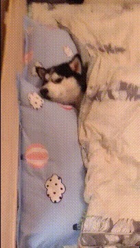 |搞笑GIF:据说刚化完妆的女生都是这样换衣服的