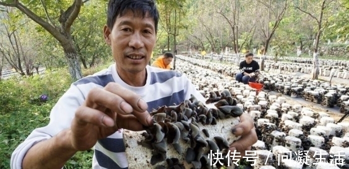 化栓王|它是天然的“化栓王”坚持每天吃,血管干净,血栓悄悄“溜走”