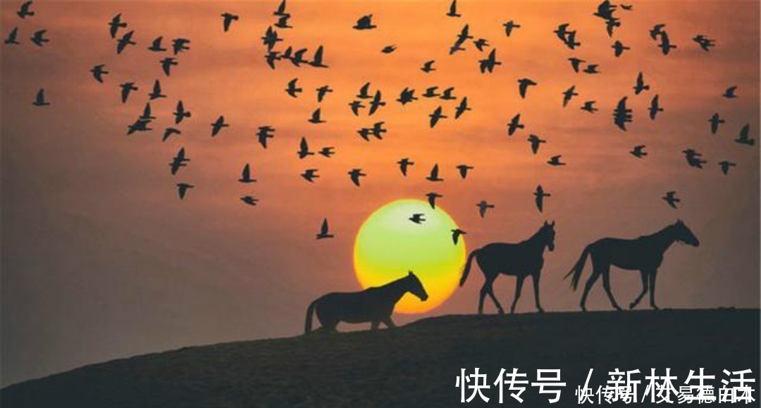 李纯$刘禹锡的思乡之作感人至深,第一句就耐人寻味,有着淡淡的忧伤!