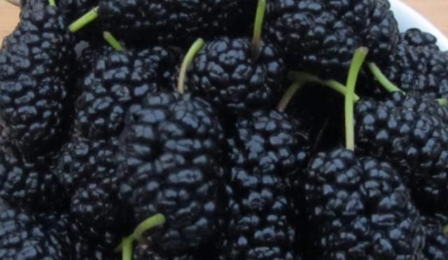 火龙果|父母最好让孩子少吃4种水果,尤其第3种,大人也要管住嘴巴