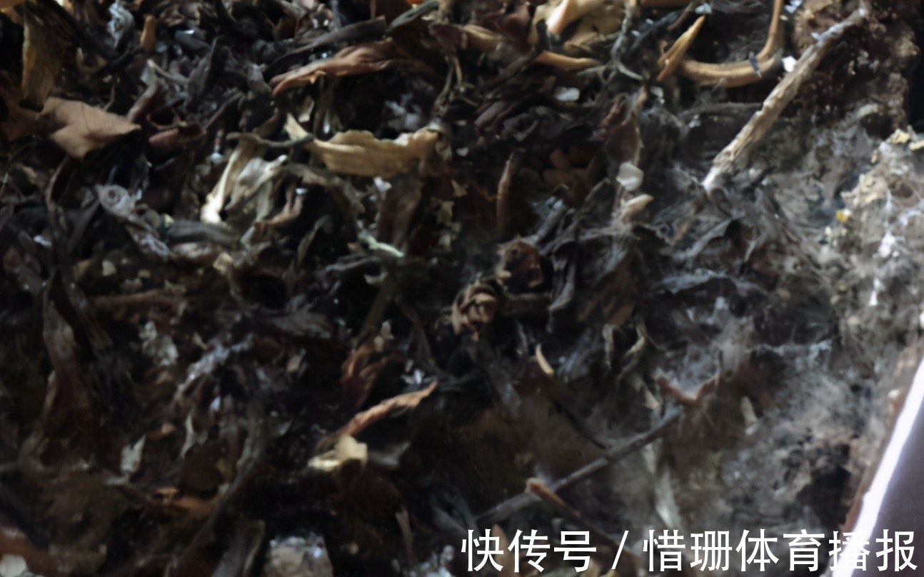 喝茶|喝茶养生,剩下的渣渣别丢,拿来制肥养花,用对方法事半功倍