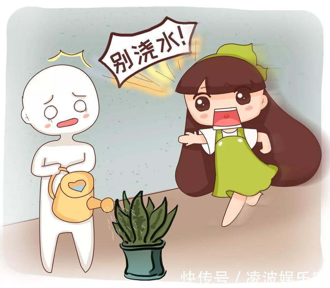 养花|新手养花不用愁,给你支3招,烂根也能救过来!