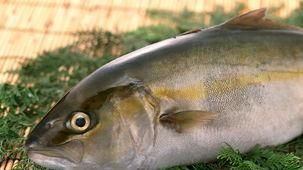 胆固醇|别看它不起眼, 却是高血脂的“死对头”, 常吃远离血栓困扰