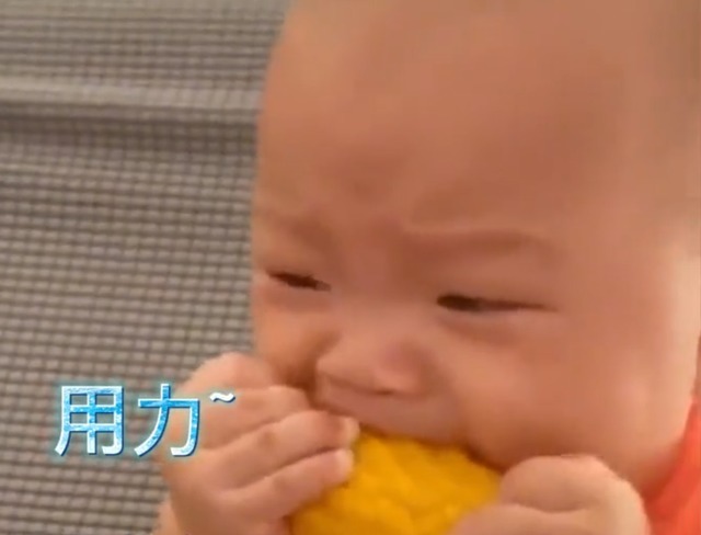 玉米|笑哭!广东一萌宝抱着玉米一顿猛“操作”,最后成功把自己整哭了