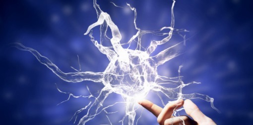 权威|老年痴呆权威测试只要你能在这张图中找到骆驼,痴呆离你还很远