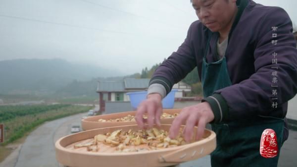 风水林|走进中国“碳票”第一村，看空气如何变成“钱”→