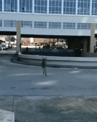 |搞笑GIF趣图:你说你想吓吓我,你怎么就撞上去了呢?