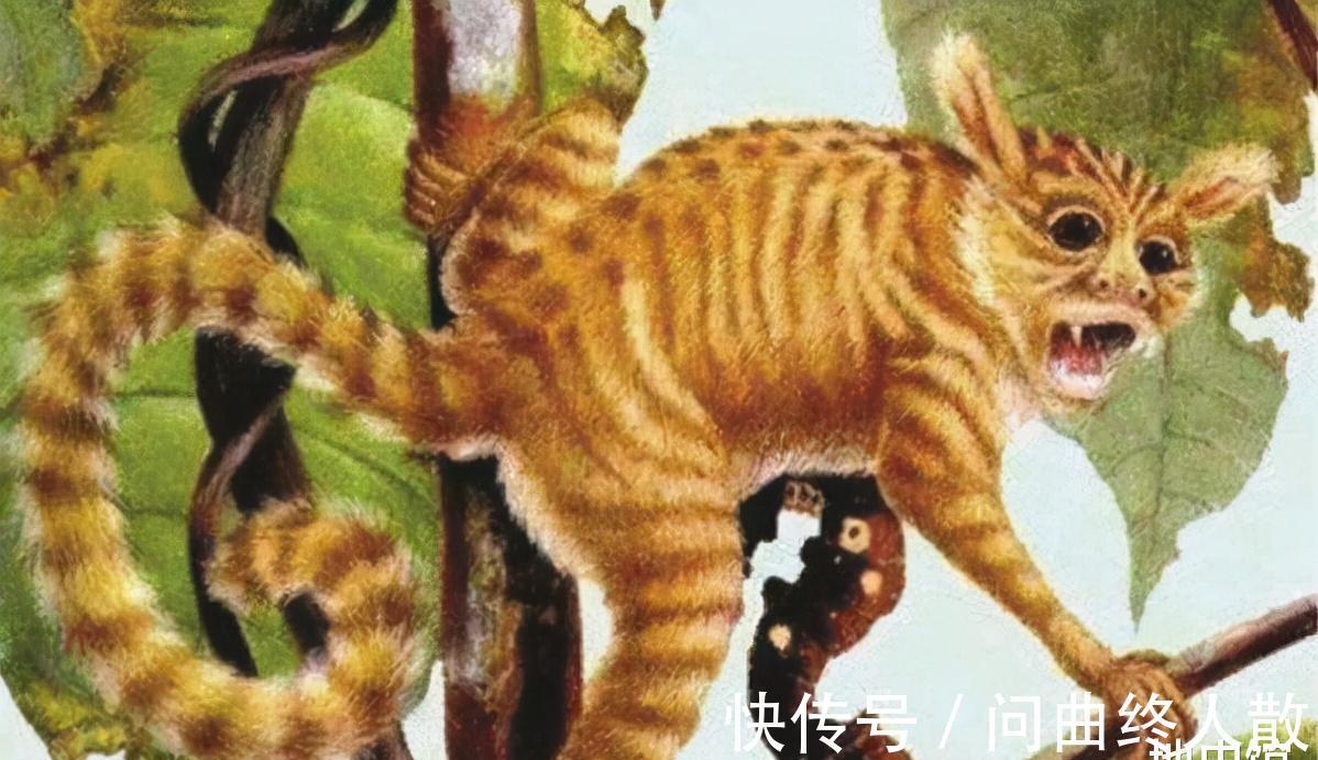 史前人&从原始到国家,史前人如何完成飞跃?