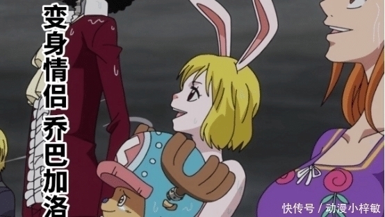 阿菊|海贼王:最具“夫妻相”的5对CP,网友:麦哲伦这对我站定了!