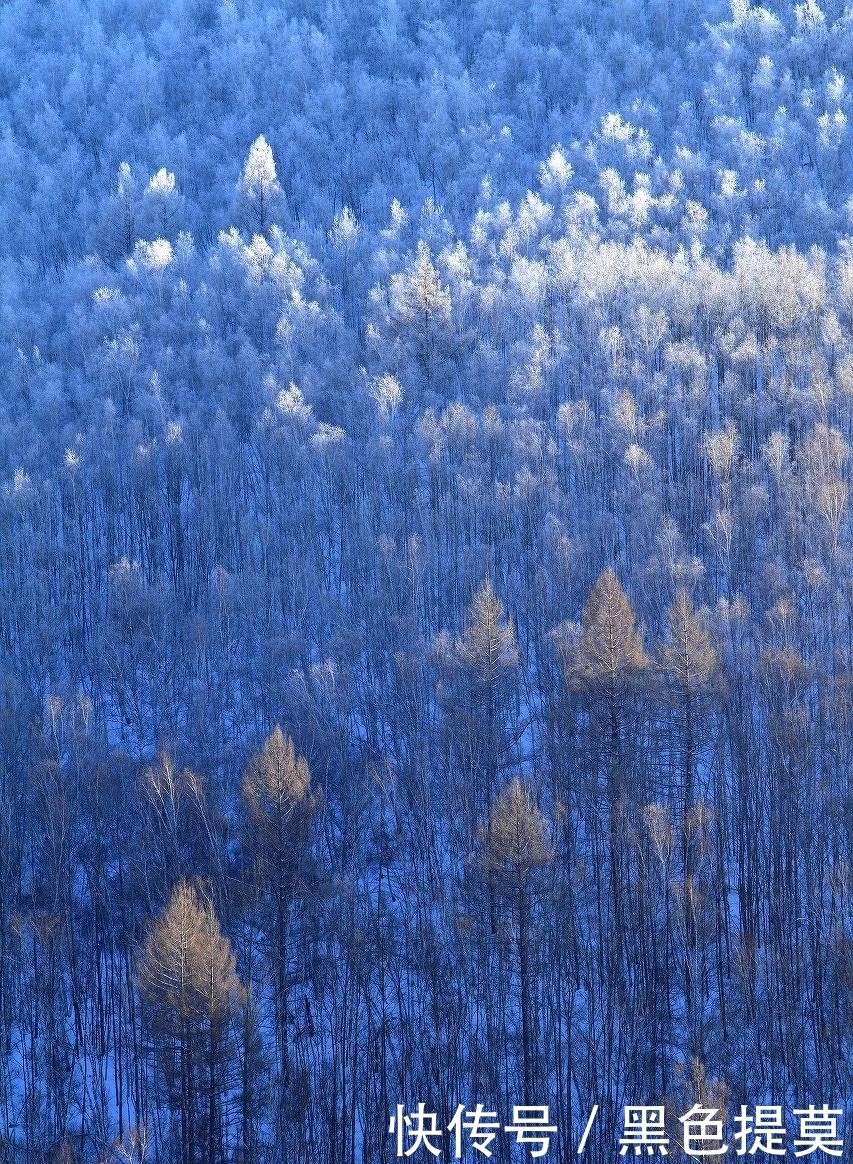 比东北“亚雪”还美的公路，这条小众边境天路，资深驴友都想去！