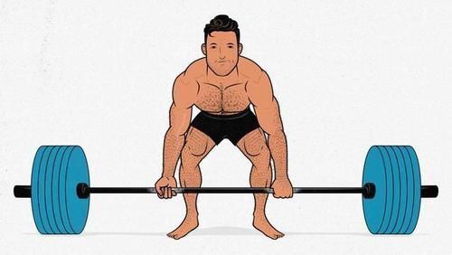 肌肉|如何区分健身新手,中级和老手?3档划分看看你在哪?