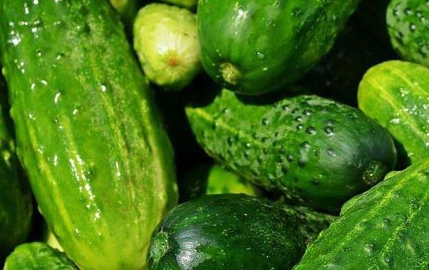 苦味素|黄瓜的妙用，你知道哪些？快来了解一下吧！