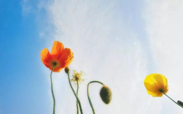 君子!五十岁之后,做到三个“不争”,后半生会越来越顺!