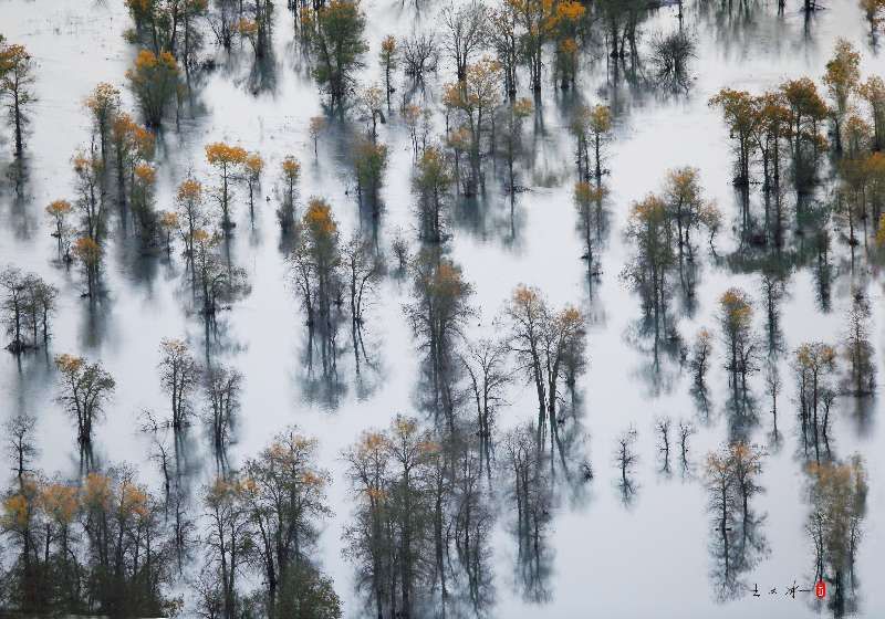  冰雪|冰雪新疆“拍了拍”成都 还带来免门票等优惠政策