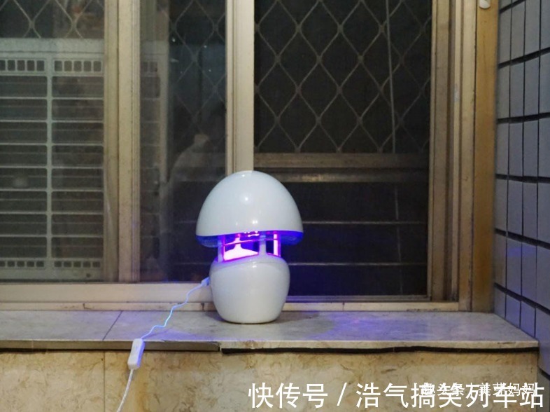 花露水|宝宝被蚊子叮咬后,第一步不是帮娃止痒,很多家长都做错了