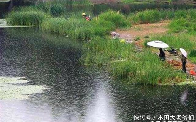 惊蛰到清明,这几种天气鲫鱼最好钓,随便钓,大鲫鱼也能连竿上