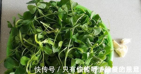 维生素k|这种草被称为“肝脏解毒王”,坚持每天吃,身体肝毒全排光!