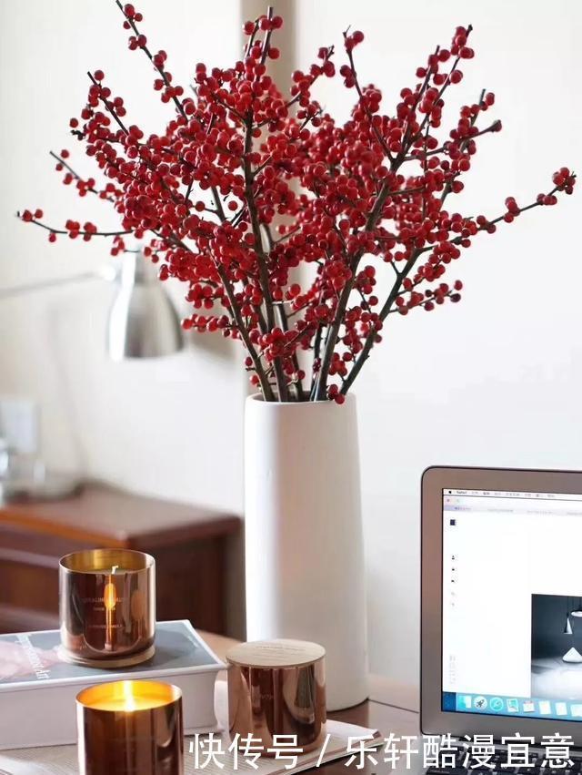 这3种花,零下20度冻不死,现在买一盆,新年不愁没花看