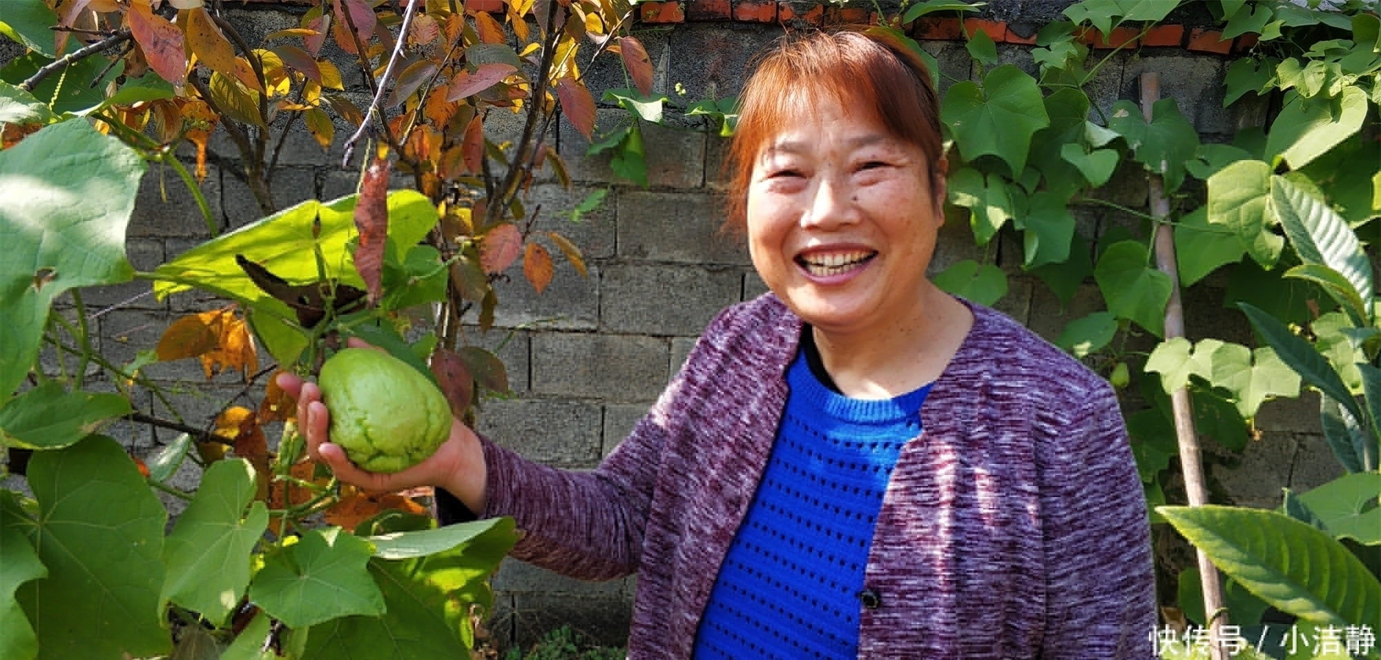 凉拌|这瓜19世纪才传入我国,既是水果又是蔬菜,营养高,凉拌最好吃