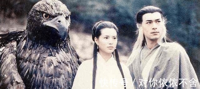 大雕#杨过的大雕最后去哪了倚天中早有暗示,结局让人难以接受!