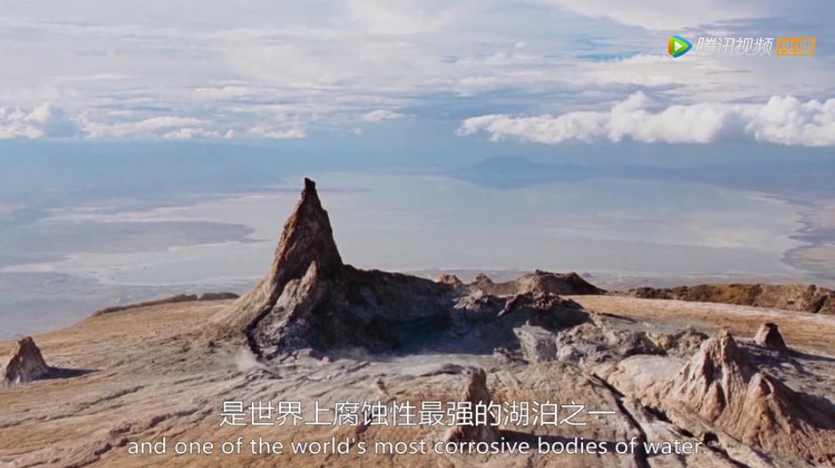 9.8分超惊艳，这神作终于不用找资源，我一口气看完5集