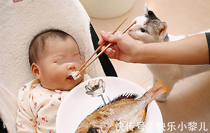 鱼肉|想提高孩子智商,除了吃鱼肉,这几种食物对脑部发育更有利