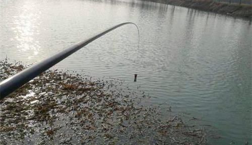 冬钓久坐无鱼咬钩，可能是打窝方法不当，冬季这样打窝更留鱼！