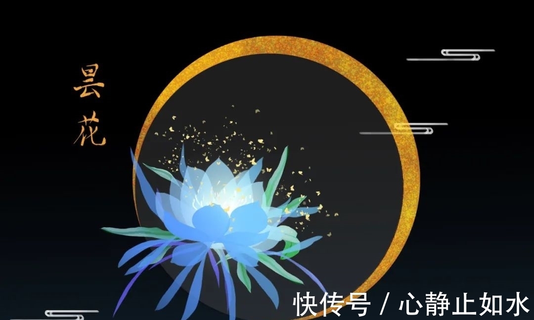 昙花:静态雪花堪比洁,幽香莲叶与同清