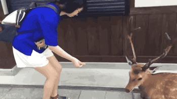 |搞笑GIF:姑娘你这眼神能杀人呀!真是吓死宝宝了