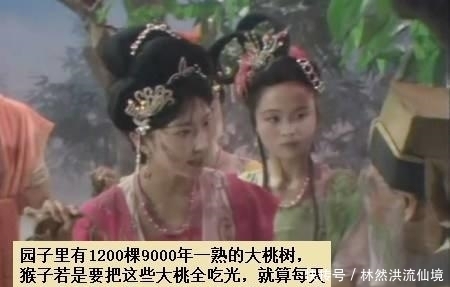  为什么说让孙悟空看守蟠桃园! 其实是天界大佬联手设置的一场局