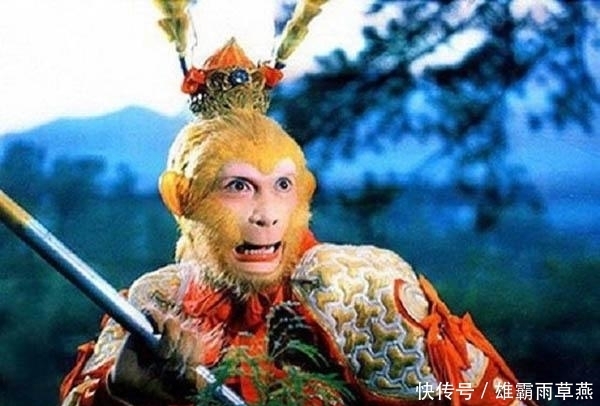 当天|二师兄猪八戒隐藏的太深了 他当天蓬元帅时可秒杀孙悟空