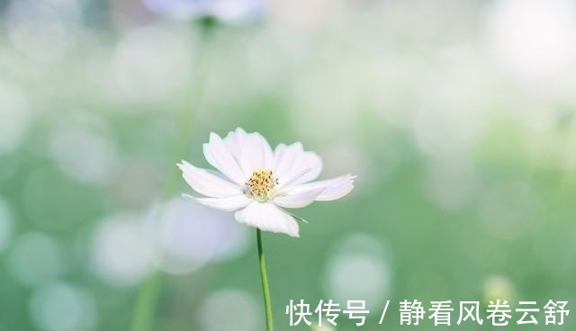 家庭和睦|12月，福气临门，机遇不断，事业节节攀升，生活平安富足的3星座