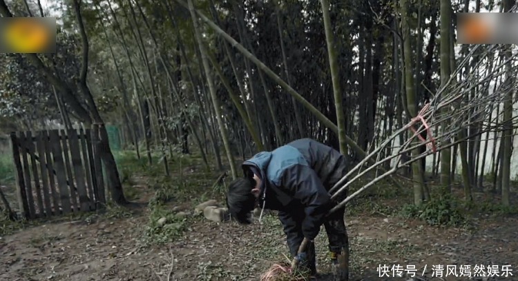 李诞|《向往5》最懒嘉宾又来了,在节目种树种到“吐”,脾气都上来了!