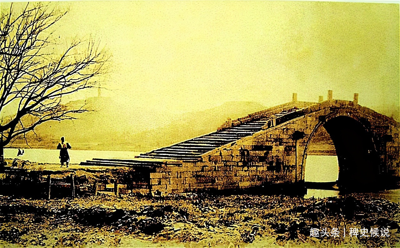 马寡妇#清代奇案寡妇貌美,寺中被人害死,鹦鹉报案伸冤,三个和尚斩首