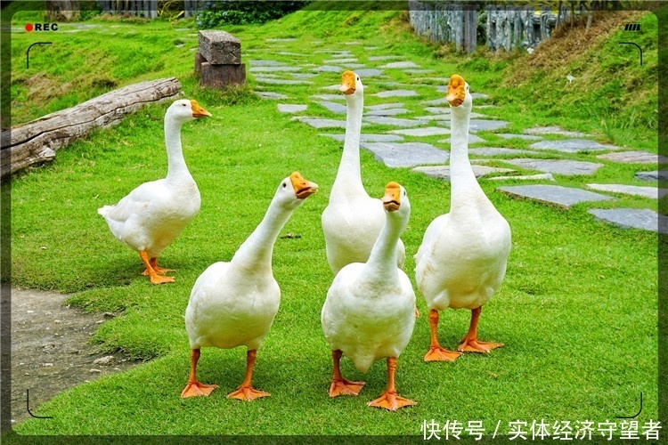 “穗安街超”五人足球争霸赛颁奖典礼周穗安独家专访成功填补广州足球青训比赛空缺将在大城市普及宝博体育- 宝博体育官网- 宝博体育APP下载 BaoBoSports“下楼即踢球”理念