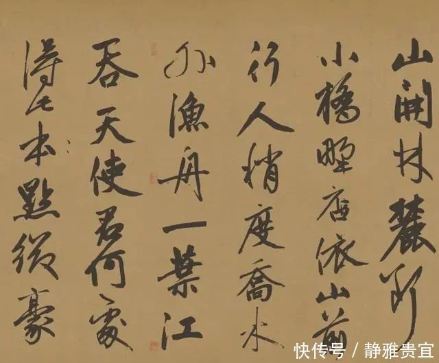 赵子昂50岁写了一幅行书,抄写了苏轼的诗句,此作潇洒飘逸